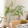 The office space is decorated with creative creative garden fern ornaments. The green plants require no maintenance and have a simple style Specification image